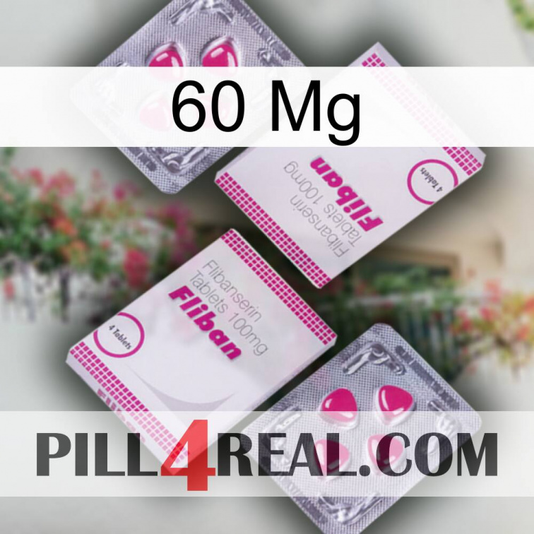 60 Mg 33
